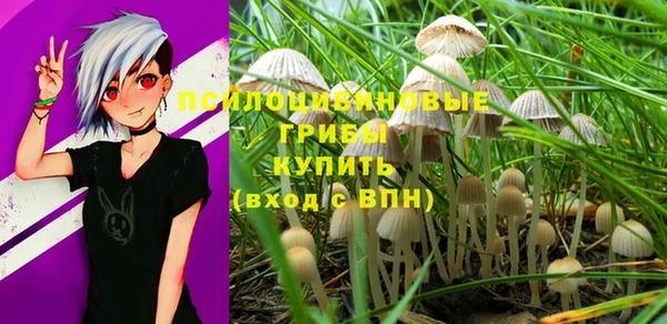 mdma Пестово