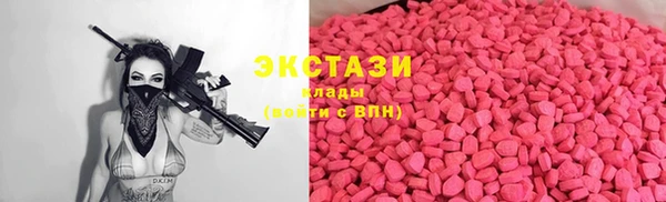 мдпв Осташков