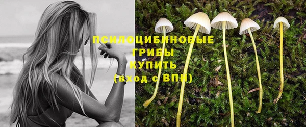 ГАЛЛЮЦИНОГЕННЫЕ ГРИБЫ Няндома