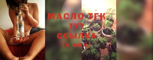 мдпв Осташков