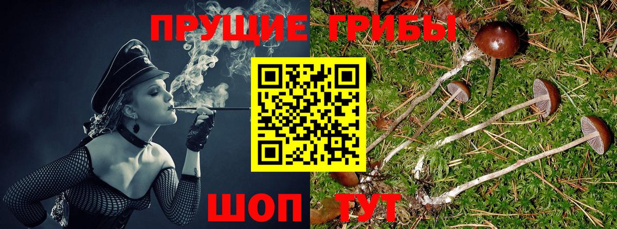 Галлюциногенные грибы MAGIC MUSHROOMS  Вход с VPN  Удомля 