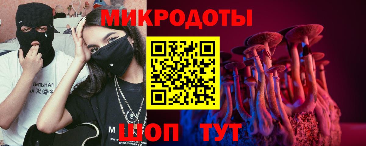 Галлюциногенные грибы MAGIC MUSHROOMS Удомля