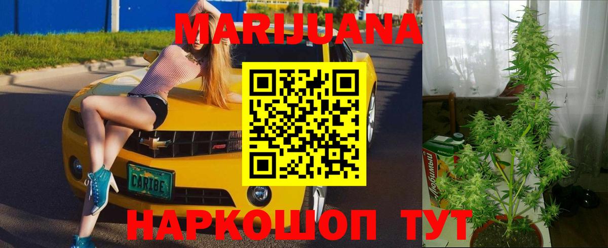 Бошки марихуана OG Kush  Вход с VPN  Марихуана Bruce Banner  Бошки марихуана план  Шишки марихуана тримм  Удомля 