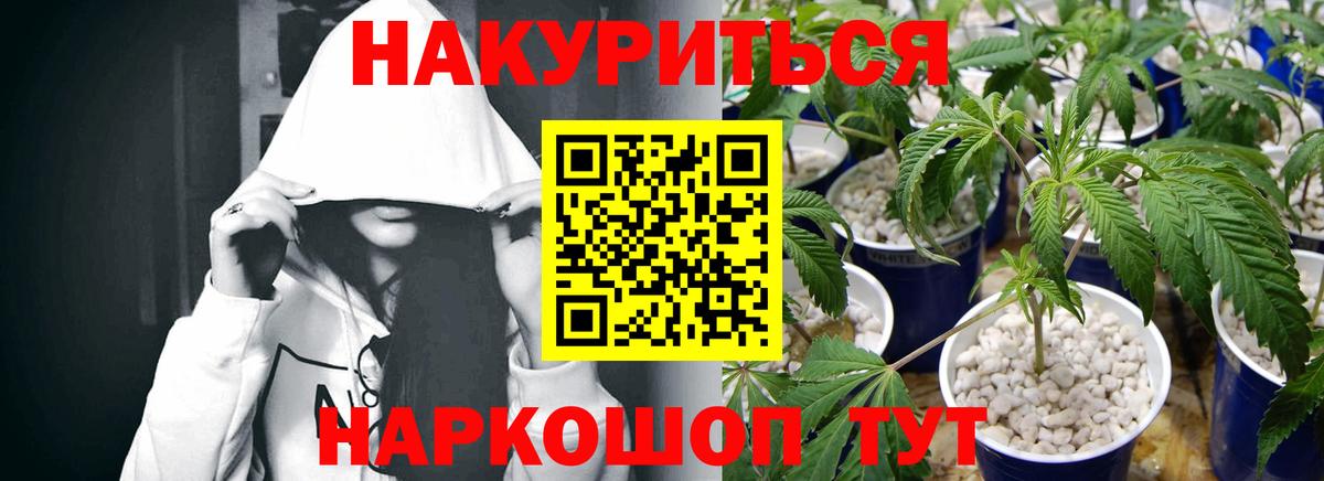 Каннабис марихуана  Удомля  Шишки марихуана Amnesia 